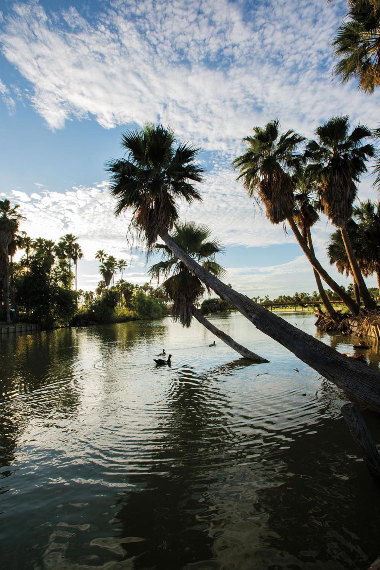 6-brownsville, Tx 2* Brownsville